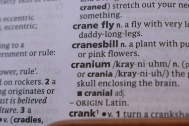 İngilizce Sözlük Kitabı Sayfası Kelime Tanımlaması ile Kapat - Vinç Tasarısı