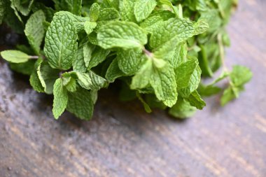 Doğal Taze Organik Nane Bitkisi, yemyeşil yaprakları ile Uzay Resmini Kopyala