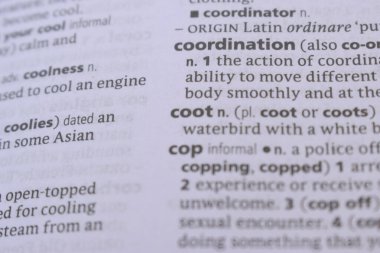 İngilizce Sözlük Sayfası ve Sözcük Açıklaması Detayları - koordinasyon