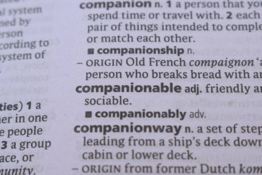 İngilizce Sözlük Kitabı Sayfası Sözcük Tanımının Yakın Sayfası - Eşlik Edilebilir