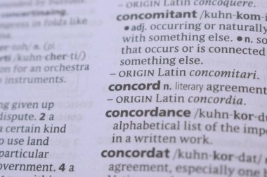 İngilizce Sözlük Kitabı Sayfası Sözcük Tanımı - Uyum