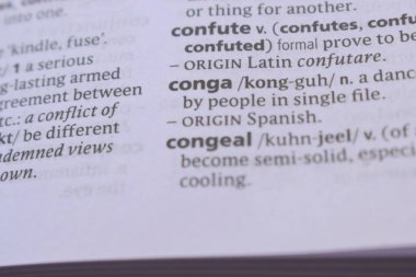 İngilizce Sözlük Sayfasının Detayları ve Konganın Açıklaması - Conga