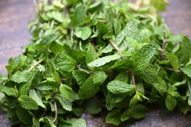 Yeşillik Yeşil Yapraklı Doğal Taze Organik Nane Bitkisi Görüntüsü