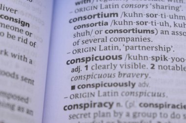 İngilizce Sözlük Kitabı Sayfası Sözcük Tanımının Kapanışı - Dikkat çekici