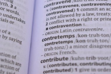 İngilizce Sözlük Kitabı Sayfası Sözcük Tanımının Kapanışı - İhlal