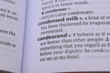 İngilizce Sözlük Sayfasının Detayları ve Kelime Açıklaması - Küçümseme