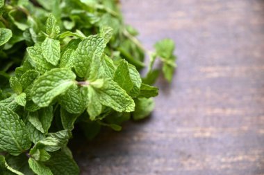 Doğal Taze Organik Nane Bitkisi, yemyeşil yaprakları ile Uzay Resmini Kopyala