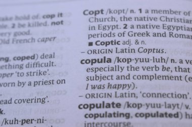 İngilizce Sözlüğün Tanımı Kelimenin Kapanışı - copula