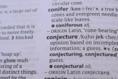 İngilizce Sözlük Sayfasının Detayları ve Varsayımın Sözcük Açıklaması