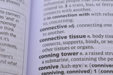 İngilizce Sözlük Kitabı Sayfası - Bağlayıcı dokunun Sözcük Transkripsiyonu ile Kapat