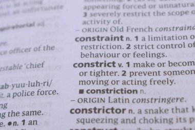 İngilizce Sözlük Sayfası ve Sözcük Açıklamasının Detayları -