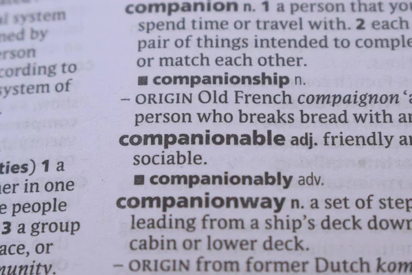 İngilizce Sözlük Kitabı Sayfası Sözcük Tanımının Yakın Sayfası - Eşlik Edilebilir