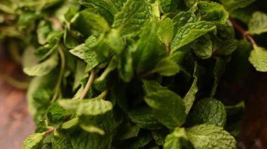 Doğal Taze Nane Bitkisinin Yeşilli Yeşil Yapraklı Görüntüsünü Kapat