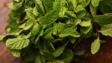 Doğal Taze Nane Bitkisinin Yeşilli Yeşil Yapraklı Görüntüsünü Kapat