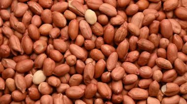 Yerfıstığı Tohumu Hareketi Arkaplanından Dönen Çiğ Fıstıklar