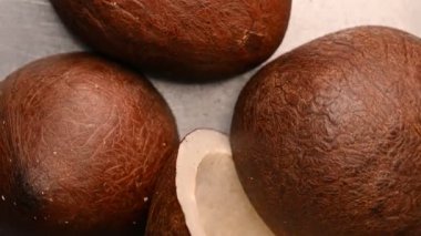 Kuru Hindistan cevizi Yarım Parçalar Üst Görünüm, Hindistan cevizi Kabuğu Doku Arkaplanı