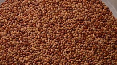 At Gramının Dönen Üst Görünümü (Kulthi Dal) Kahverengi Mercimek Dokusu Görüntüsü