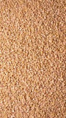 Urad Dal 'in Üst Görünümü (Kara Gram - Mercekleri Böl) Dokulu Gıda Dikey Görüntüsünde Dönüyor