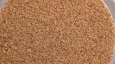 Carom Tohumlarının Dönen Üst Görünümü (Ajwain) Aromatik Baharat Dokusu Görüntüsü
