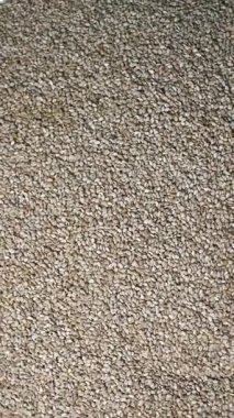 Arkaplanda Dönen Susam Tohumlarının Üst Görünümü Dikey Gıda Dikey Görüntüsü