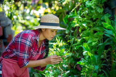 Küçük bir bahçe dükkanında bitkilerle ilgilenen genç bir Asyalı kadın.
