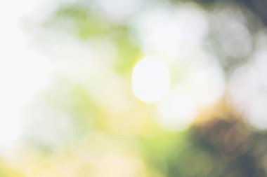 Arka planda bulanık ağaç ışıkları. Tasarım efekti mutlu bayram partilerine odaklanıyor. Parlak desenli beyaz duvar kağıtları, güneşli, parlak, yumuşak, sade bir yıldız. .