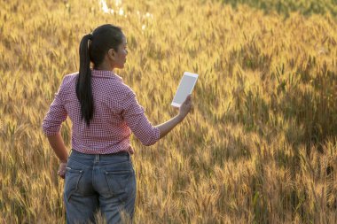 Baharda Altın Güzellik buğday tarlasında duran mutlu Asyalı çiftçi ya da tarım uzmanı. Dijital tablet kullanılıyor. Modern internet iletişimi kalite testi araştırma teknolojileri kavramı