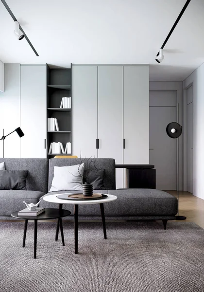 Canapé Gris Dans Une Chambre Moderne Design Intérieur Tendance Japandi — Photo