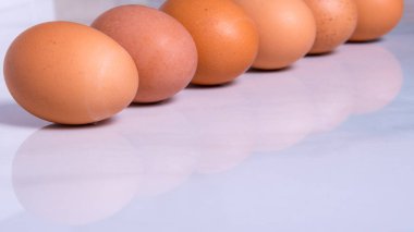 Taze kahverengi yumurtaların yakın plan çekimi, tek sıra halinde, kenar görünüm, kopyalama alanı, arka plan, reklam