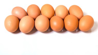 Taze kahverengi yumurta, fotokopi alanı, arka plan, reklam