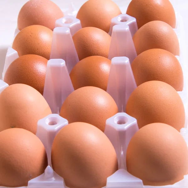 Κοντινό Πλάνο Των Νωπών Καφέ Αυγά Ένα Πλαστικό Κουτί Λευκό — Φωτογραφία Αρχείου