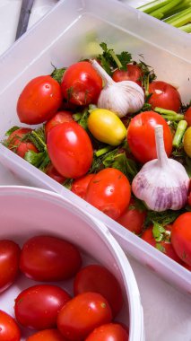 Plastik kabın içindeki domatesler, baharatlar dereotu, maydanoz, biber, karanfil, defne yaprağı, kereviz, sarımsak, yakın plan, duvar kağıdı, uzay kopyası.,