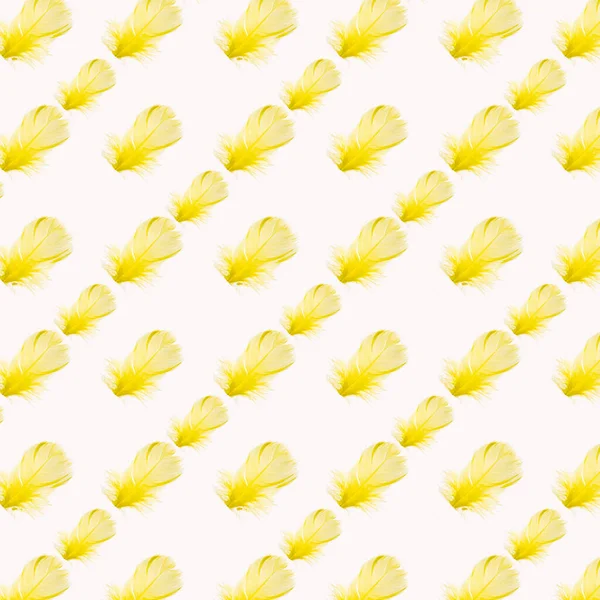 Gelbe Feder Auf Weißem Hintergrund Isoliert Nahaufnahme — Stockfoto