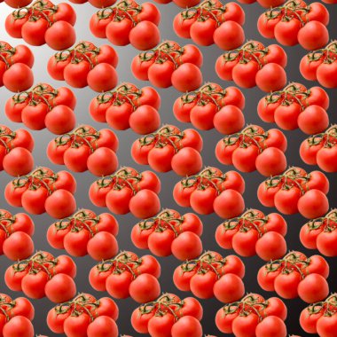 Siyah ve kırmızı bir arkaplanda domatesler, desen, düz düzen, şablon, reklamcılık, afiş, üst görünüm