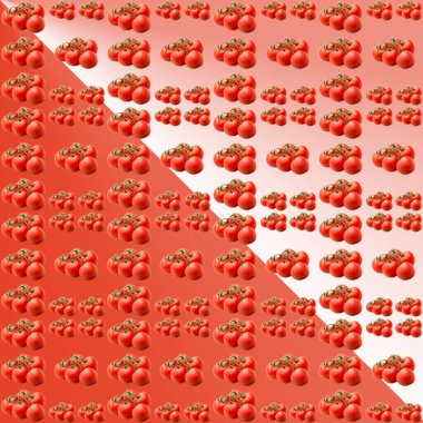 Beyaz-kırmızı gradyan arkaplanda domatesler, desen, düz düzen, şablon, reklamcılık, afiş, üst görünüm