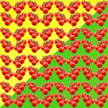 Sarı-yeşil bir arkaplanda domatesler, desen, düz düzen, şablon, reklamcılık, afiş, üst görünüm