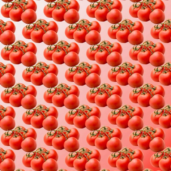 Tomates Ramo Fundo Gradiente Branco Vermelho Padrão Layout Plano Modelo — Fotografia de Stock