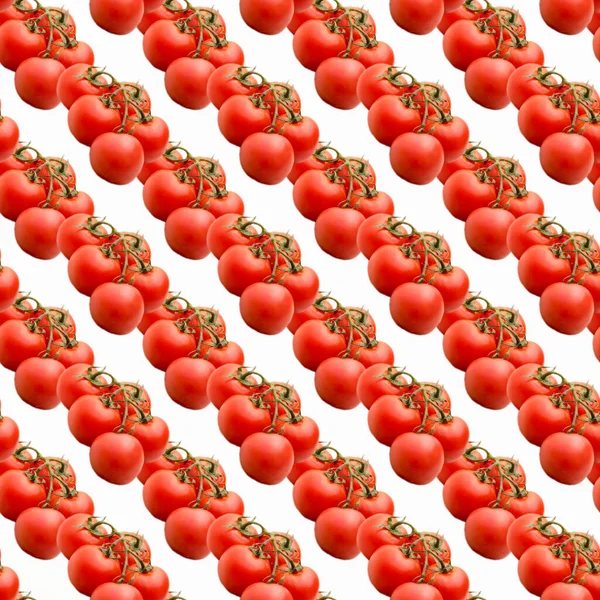 白い背景 パターン フラットレイアウト テンプレート バナー トップビューのブランチ上のトマト — ストック写真