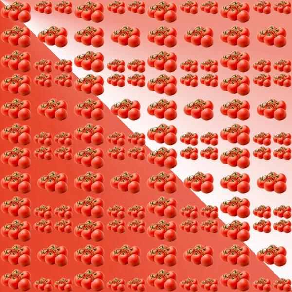 Beyaz-kırmızı gradyan arkaplanda domatesler, desen, düz düzen, şablon, reklamcılık, afiş, üst görünüm