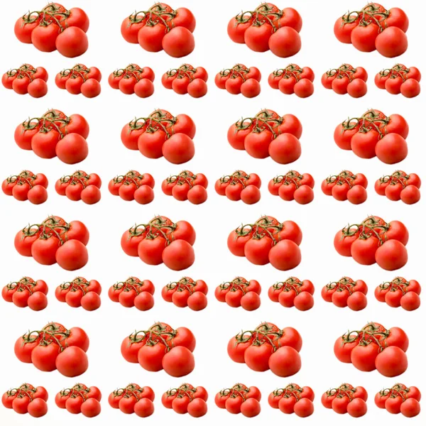 Pomodori Ramo Sfondo Bianco Modello Senza Cuciture Layout Piatto Modello — Foto Stock