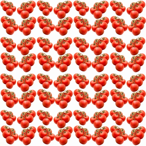 Beyaz arkaplanda domatesler, pürüzsüz desen, düz düzen, şablon, reklamcılık, afiş, üst görünüm