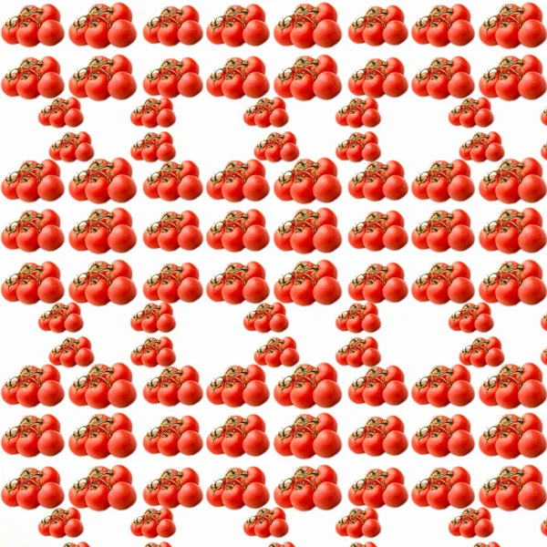 Pomidory Gałęzi Białym Tle Wzór Płaski Układ Szablon Reklama Baner — Zdjęcie stockowe