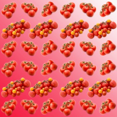 Beyaz-kırmızı gradyan arkaplanda domatesler, desen, düz düzen, şablon, reklamcılık, afiş, üst görünüm