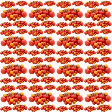 Beyaz arkaplanda domatesler, desen, düz düzen, şablon, reklamcılık, afiş, üst görünüm