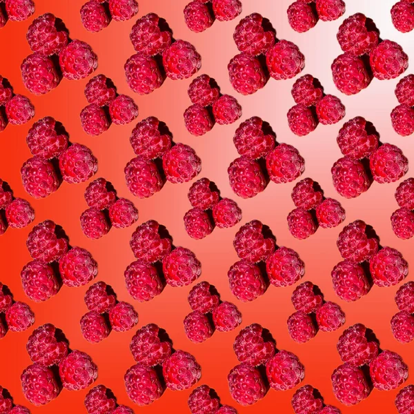 赤と白のグラデーションの背景 パターン クローズアップ テンプレート バナー フラットレイアウト 壁紙のラズベリー — ストック写真