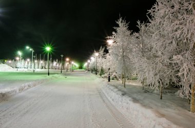 Kar fenerleriyle kaplı kış gecesi parkı ağaçları donma, kış manzarası