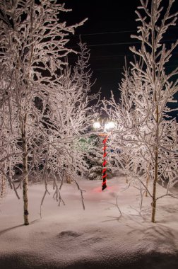 Kar fenerleriyle kaplı kış gecesi parkı ağaçları donma, kış manzarası