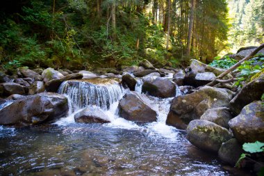 Dağlardaki bir derede dağ şelalesi bir orman, dağ manzarası, duvar kağıdı, arka plan, kartpostal