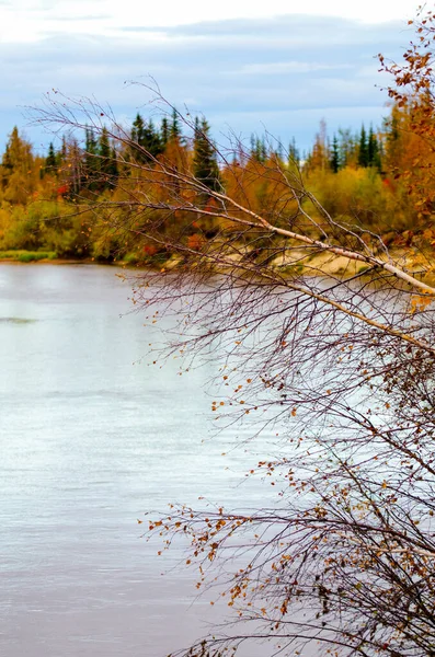 Colorful Autumn Forest River Bank Landscape Wallpaper Background Postcard — Stock Photo, Image