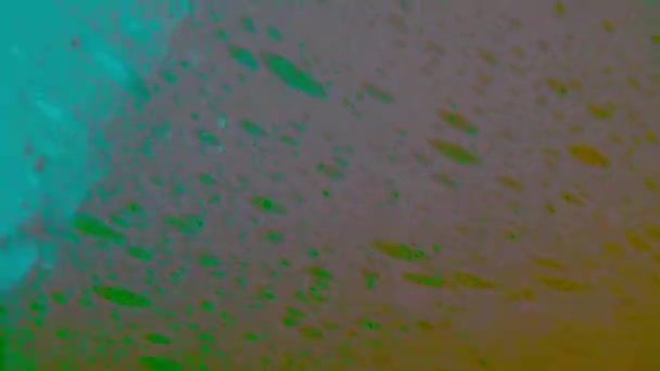 Mýdlové Bubliny Pěna Detailní Záběr Duhovém Pohybovém Osvětlení Barevné Pozadí — Stock video